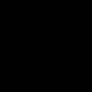 Meet your Posher, Angelica